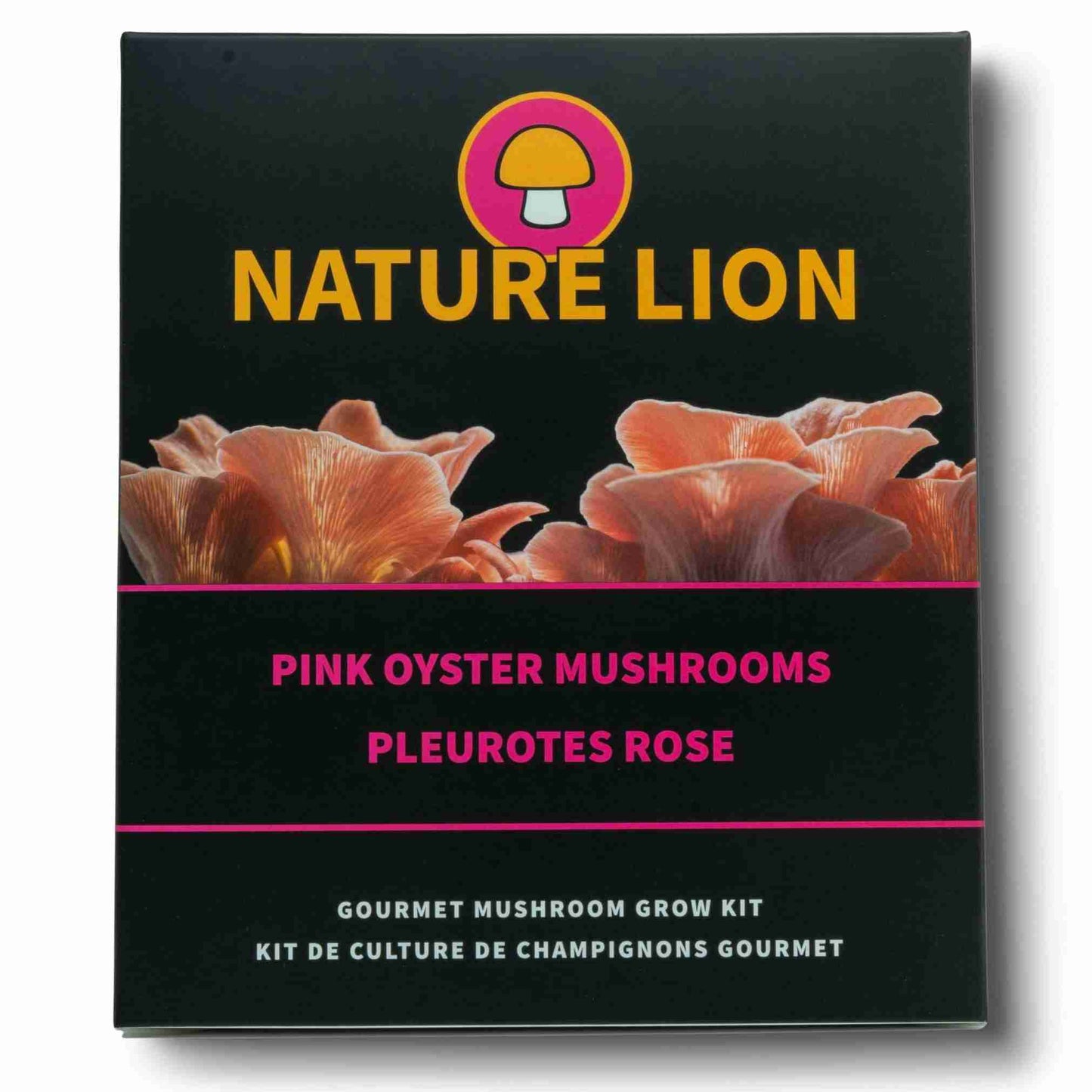 Pink Oyster