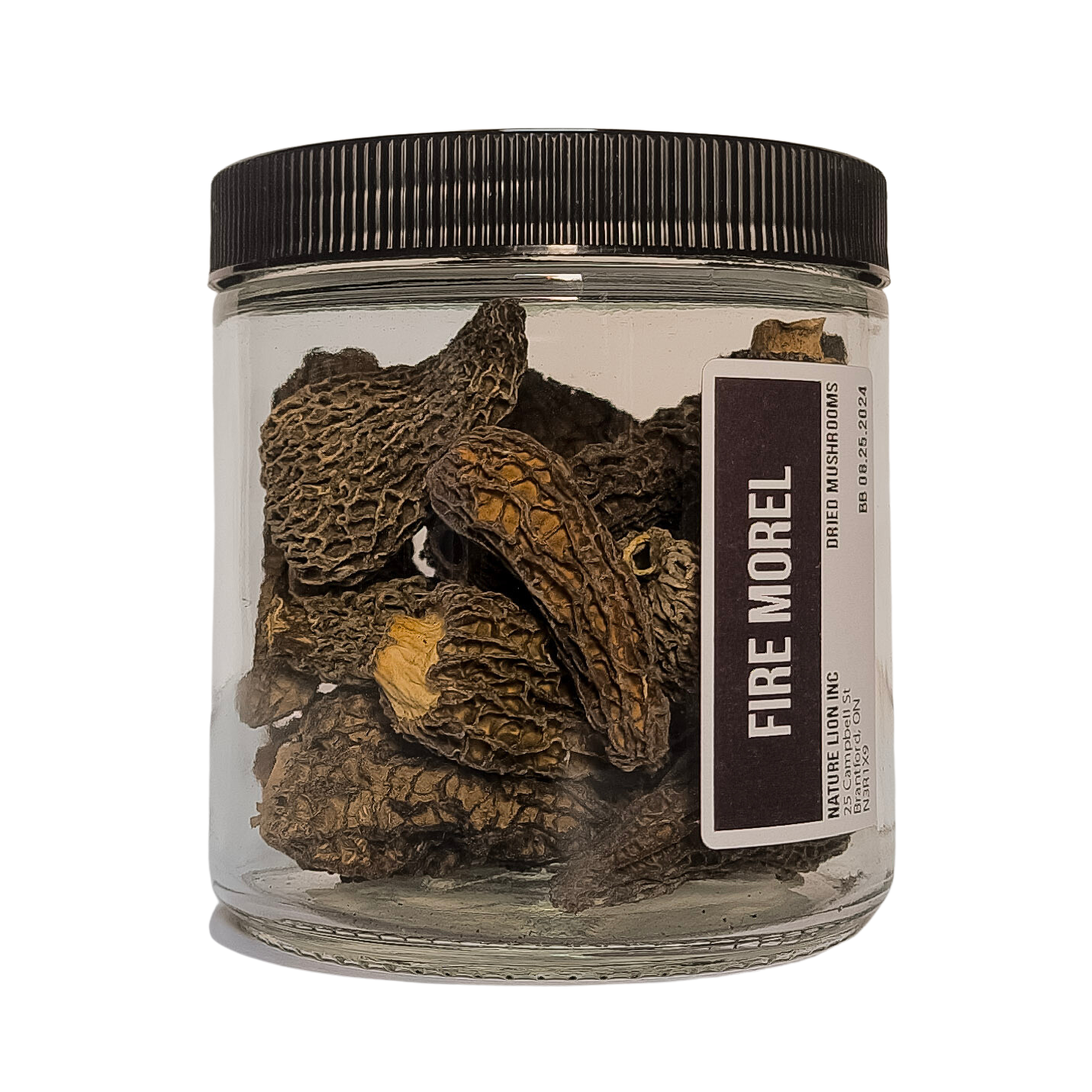 Fire Morels